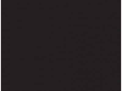 RAL 9005